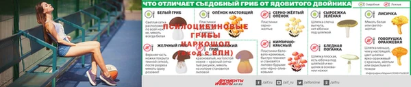 марки lsd Нязепетровск
