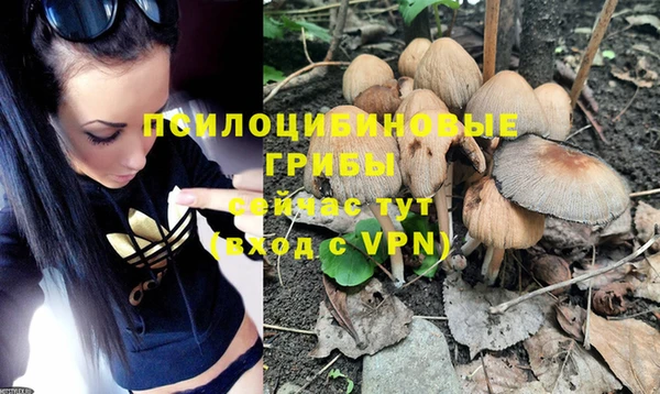 экстази Няндома