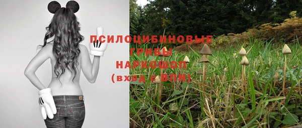 спиды Остров
