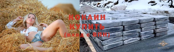 apvp Осташков