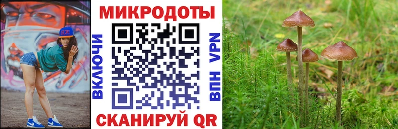 Псилоцибиновые грибы Psilocybine cubensis  Барнаул 