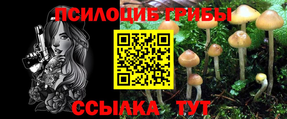 Барнаул  Псилоцибиновые грибы Psilocybine cubensis  Псилоцибиновые грибы мухоморы  Вход с VPN 