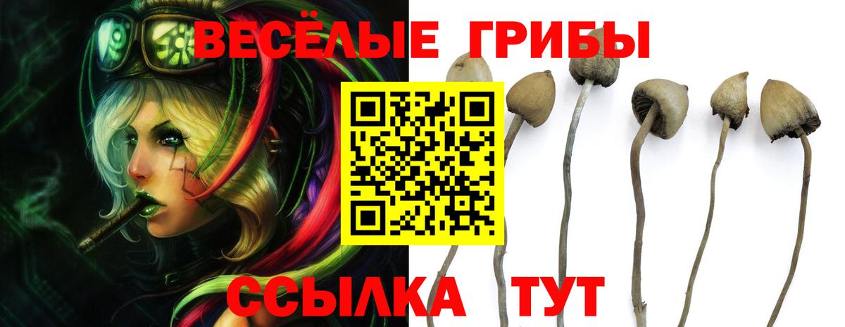 Галлюциногенные грибы ЛСД Барнаул